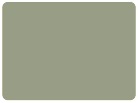Green silicon placemat